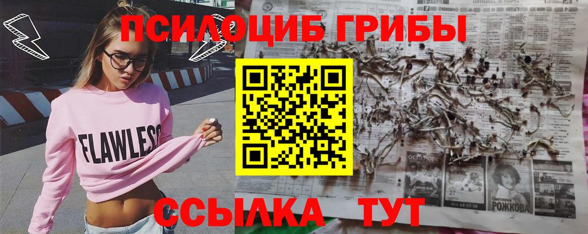Галлюциногенные грибы MAGIC MUSHROOMS  Вход с VPN  Ижевск 