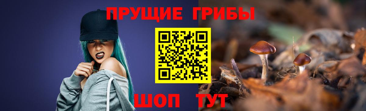 Галлюциногенные грибы мицелий Ижевск